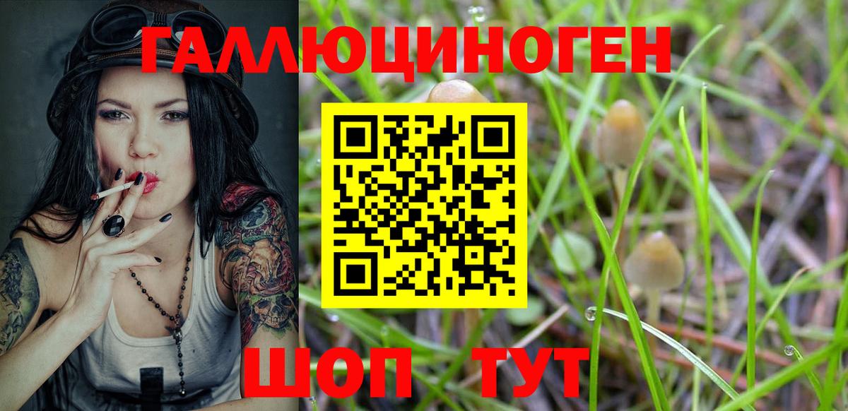 Псилоцибиновые грибы мухоморы Протвино