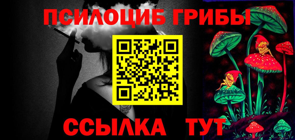 Протвино  Псилоцибиновые грибы прущие грибы  Вход с VPN 